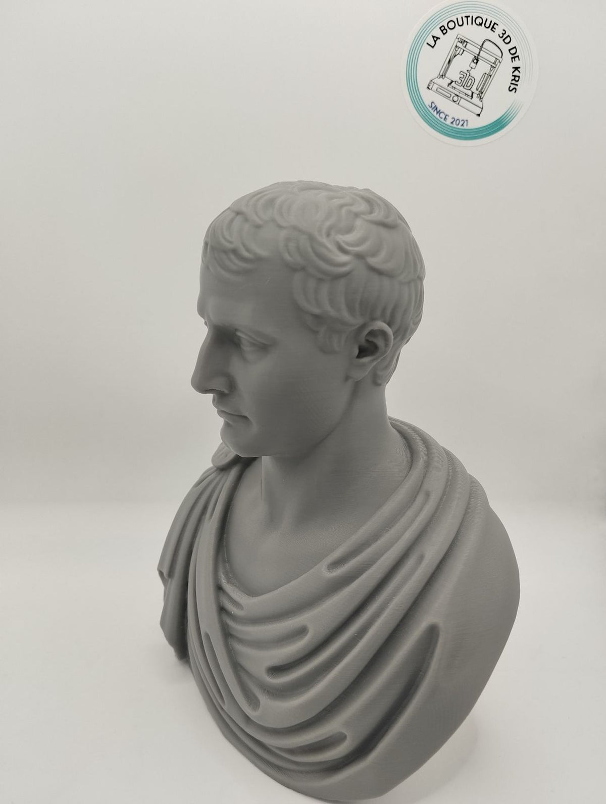 Buste de Napoleon Bonaparte | Sculpture Historique Imprimée 3D
