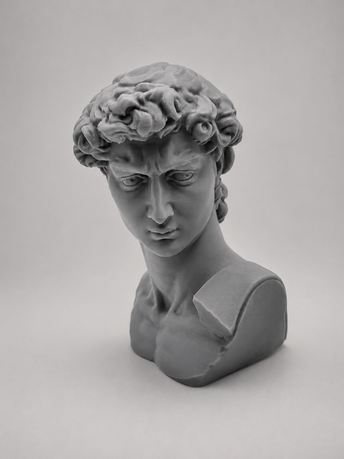 Buste David – Sculpture Antique
