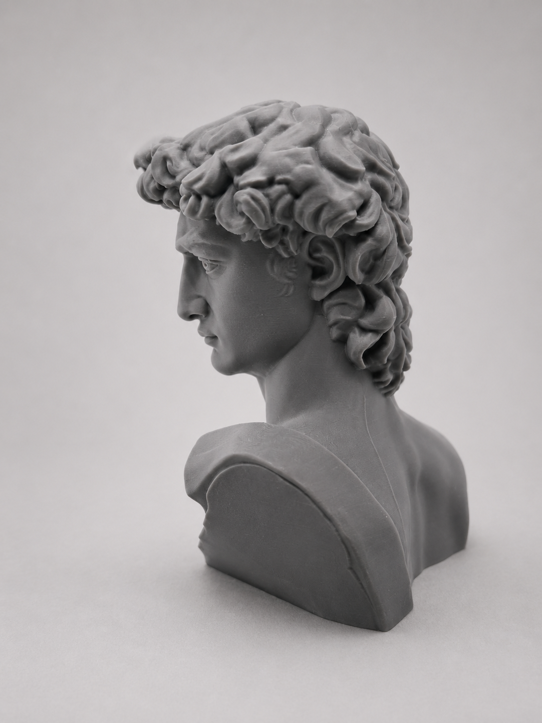 Buste David – Sculpture Antique